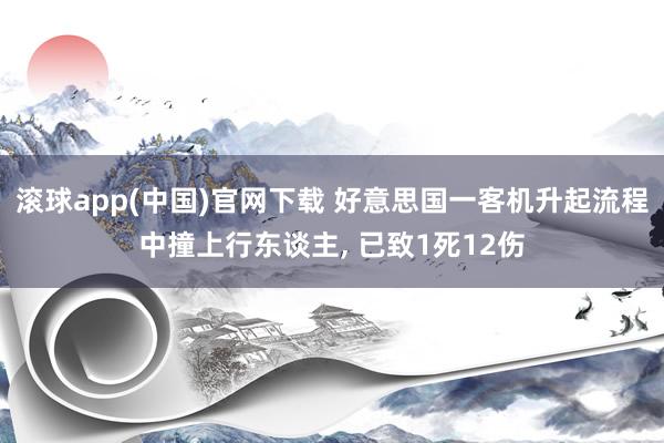 滚球app(中国)官网下载 好意思国一客机升起流程中撞上行东谈主， 已致1死12伤