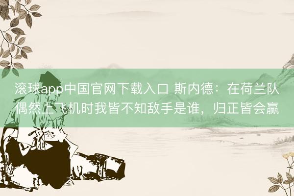 滚球app中国官网下载入口 斯内德：在荷兰队偶然上飞机时我皆不知敌手是谁，归正皆会赢