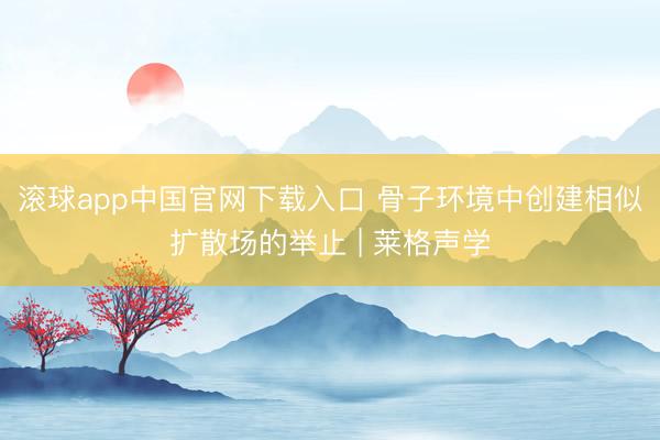 滚球app中国官网下载入口 骨子环境中创建相似扩散场的举止 | 莱格声学