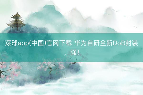 滚球app(中国)官网下载 华为自研全新DoB封装，强！
