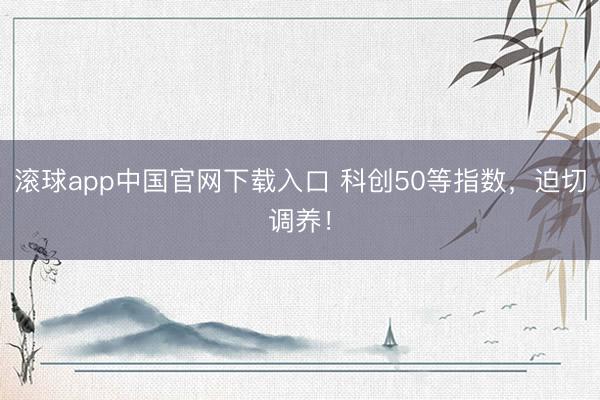 滚球app中国官网下载入口 科创50等指数，迫切调养！