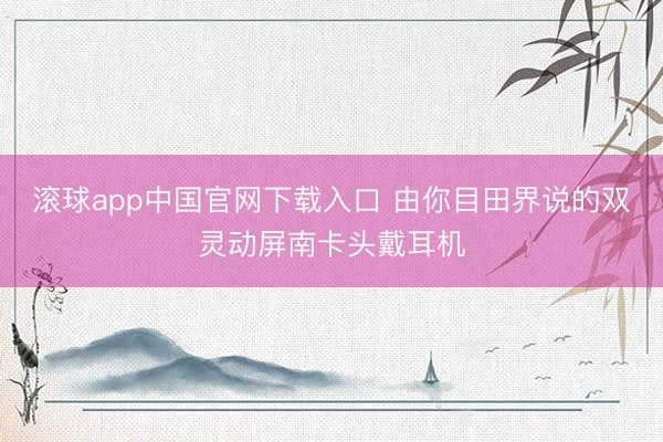 滚球app中国官网下载入口 由你目田界说的双灵动屏南卡头戴耳机