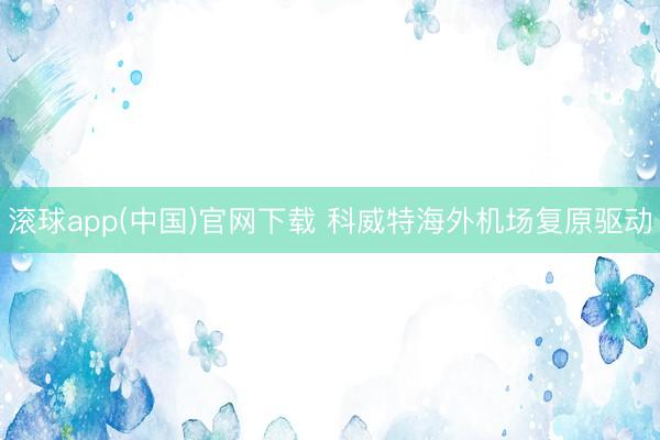 滚球app(中国)官网下载 科威特海外机场复原驱动