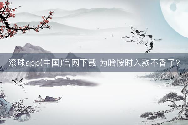 滚球app(中国)官网下载 为啥按时入款不香了?