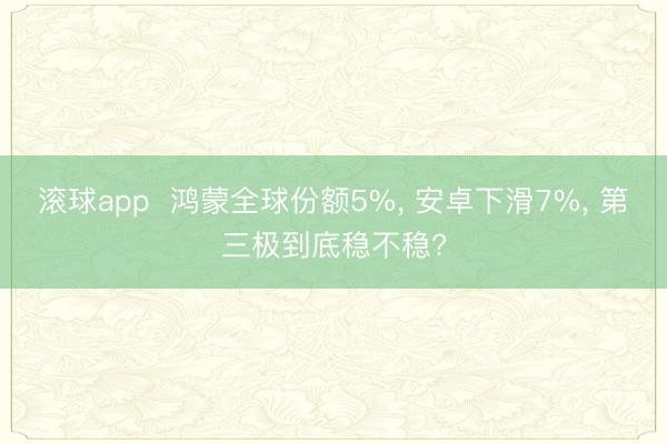滚球app  鸿蒙全球份额5%， 安卓下滑7%， 第三极到底稳不稳?