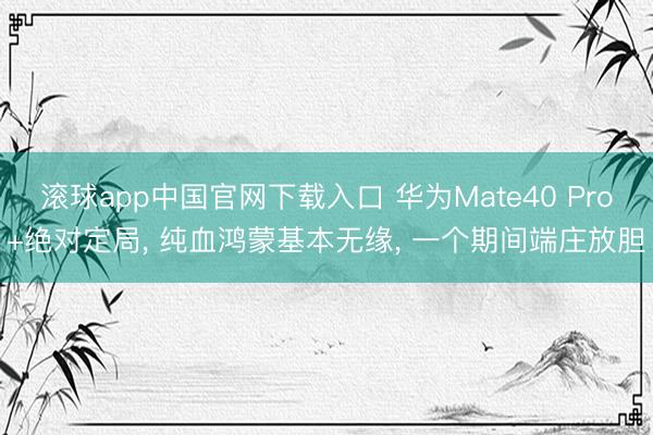 滚球app中国官网下载入口 华为Mate40 Pro+绝对定局, 纯血鸿蒙基本无缘, 一个期间端庄放胆