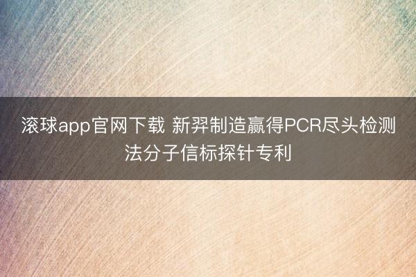 滚球app官网下载 新羿制造赢得PCR尽头检测法分子信标探针专利