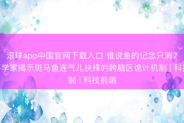 滚球app中国官网下载入口 谁说鱼的记念只消7秒? 科学家揭示斑马鱼连气儿抉择的跨脑区诡计机制 | 科技前哨