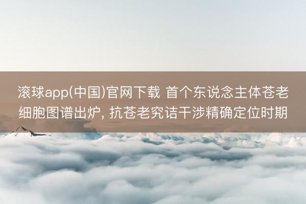滚球app(中国)官网下载 首个东说念主体苍老细胞图谱出炉， 抗苍老究诘干涉精确定位时期