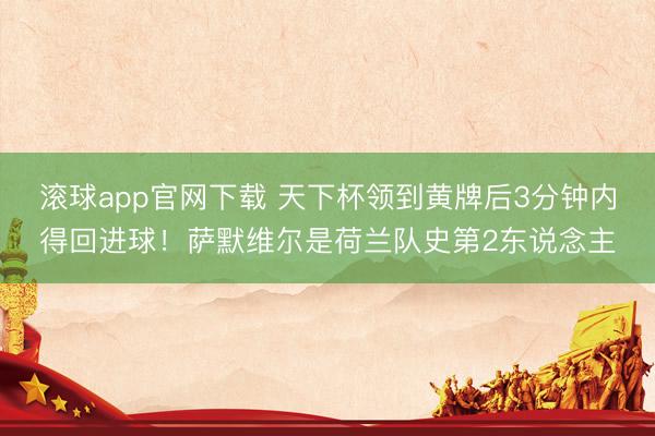 滚球app官网下载 天下杯领到黄牌后3分钟内得回进球！萨默维尔是荷兰队史第2东说念主