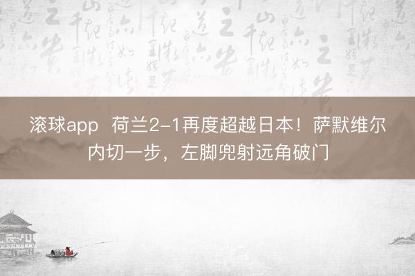 滚球app  荷兰2-1再度超越日本！萨默维尔内切一步，左脚兜射远角破门