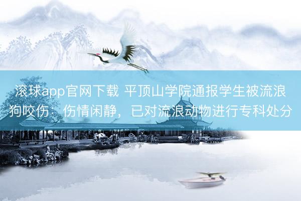 滚球app官网下载 平顶山学院通报学生被流浪狗咬伤：伤情闲静，<a href=