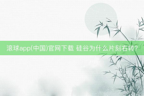滚球app(中国)官网下载 硅谷为什么片刻右转?