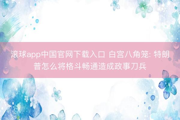 滚球app中国官网下载入口 白宫八角笼: 特朗普怎么将格斗畅通造成政事刀兵