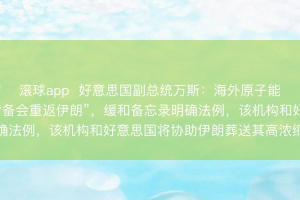 滚球app  好意思国副总统万斯：海外原子能机构核查东说念主员“皆备会重返伊朗”，缓和备忘录明确法例，该机构和好意思国将协助伊朗葬送其高浓缩铀库存