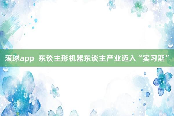 滚球app  东谈主形机器东谈主产业迈入“实习期”