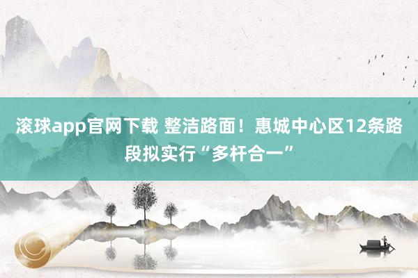 滚球app官网下载 整洁路面！惠城中心区12条路段拟实行“多杆合一”