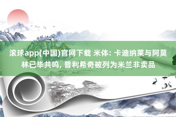滚球app(中国)官网下载 米体: 卡迪纳莱与阿莫林已毕共鸣， 普利希奇被列为米兰非卖品